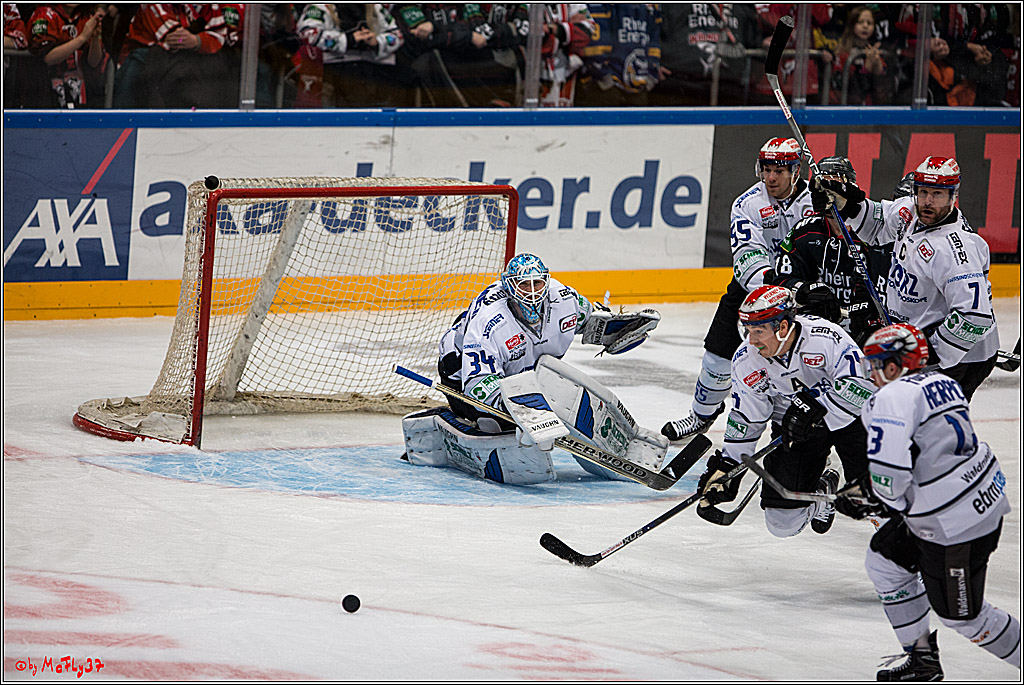 Koelner Haie - Schwenninger Wild Wings, 11.12.2016